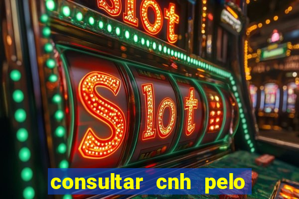 consultar cnh pelo cpf sp